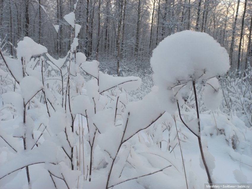Волшебство на землю опустилось