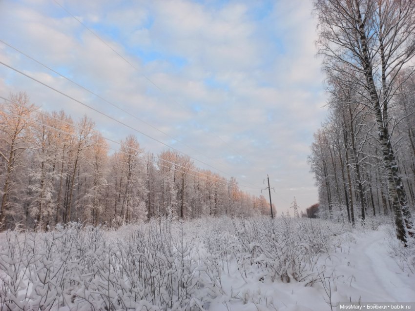 Волшебство на землю опустилось