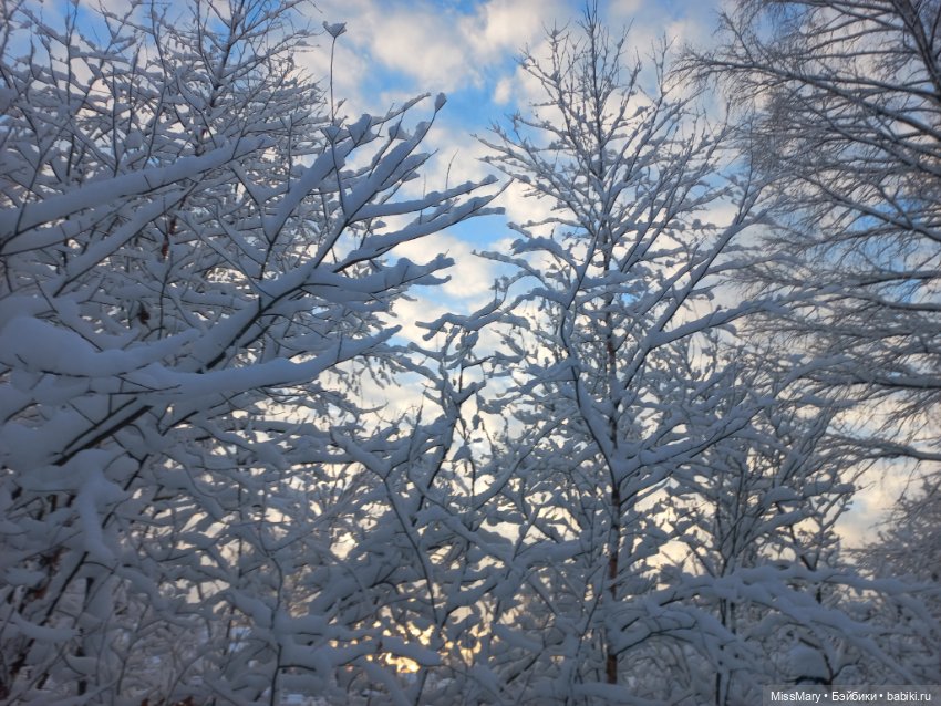 Волшебство на землю опустилось (фото 2)