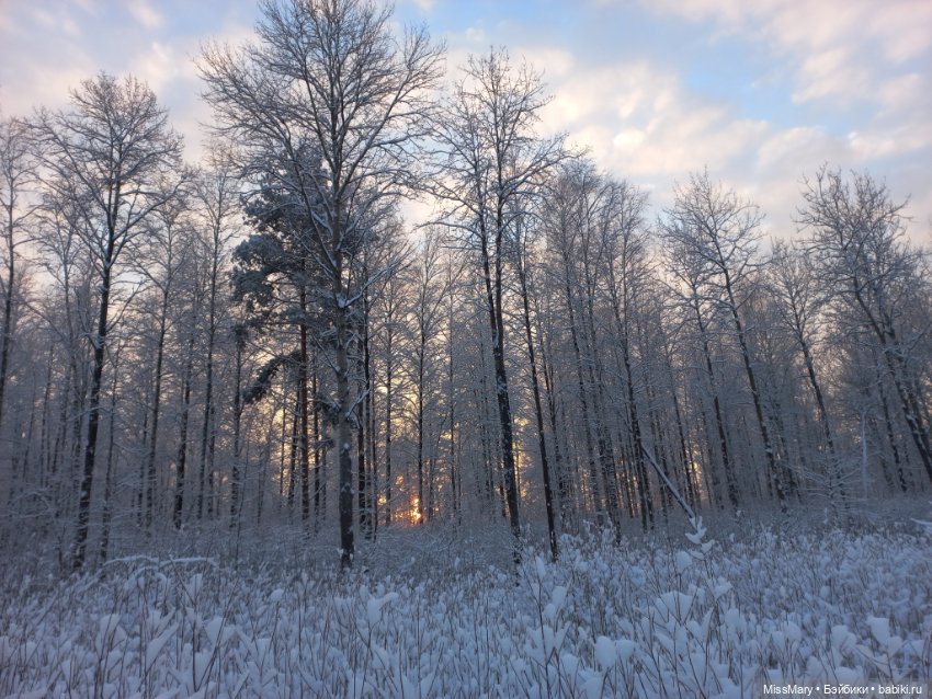 Волшебство на землю опустилось