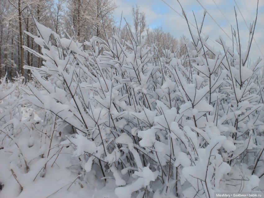 Волшебство на землю опустилось