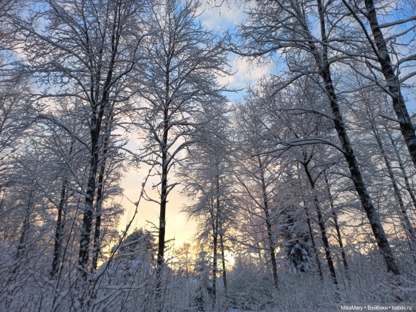 Волшебство на землю опустилось