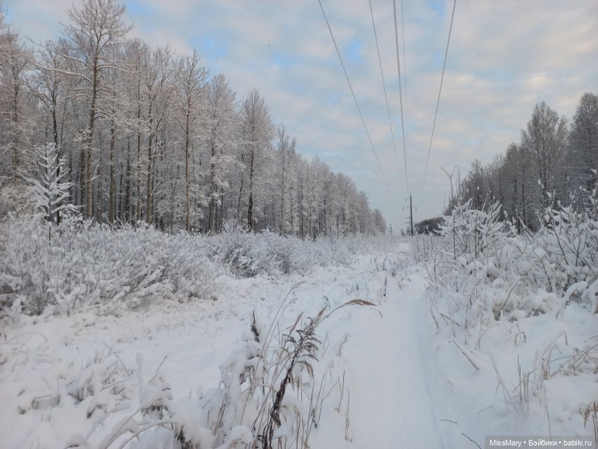 Волшебство на землю опустилось (фото 10)
