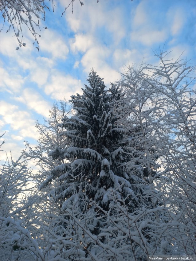 Волшебство на землю опустилось (фото 7)