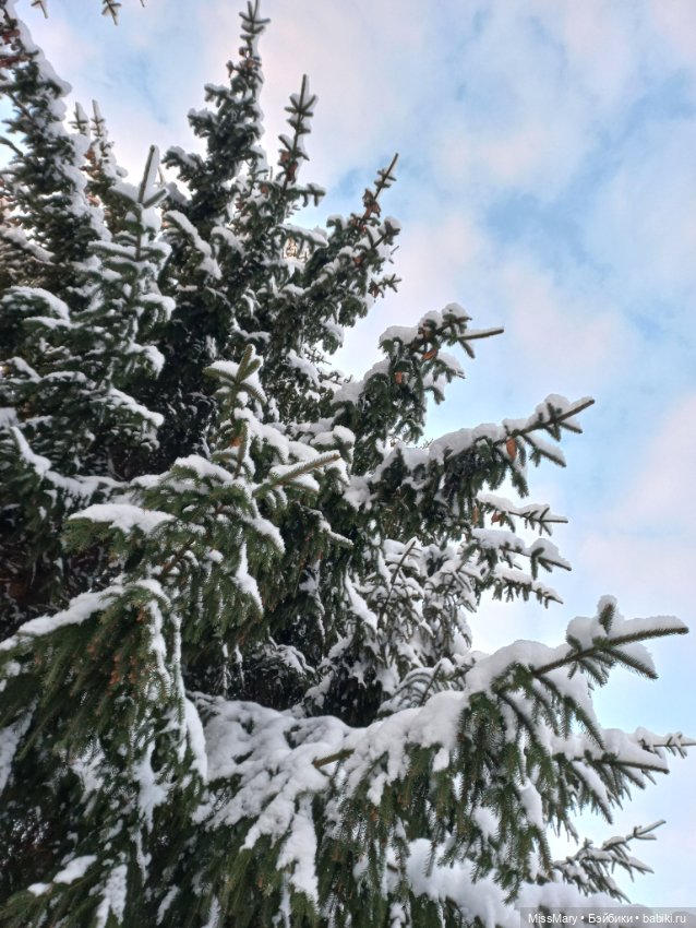 Волшебство на землю опустилось