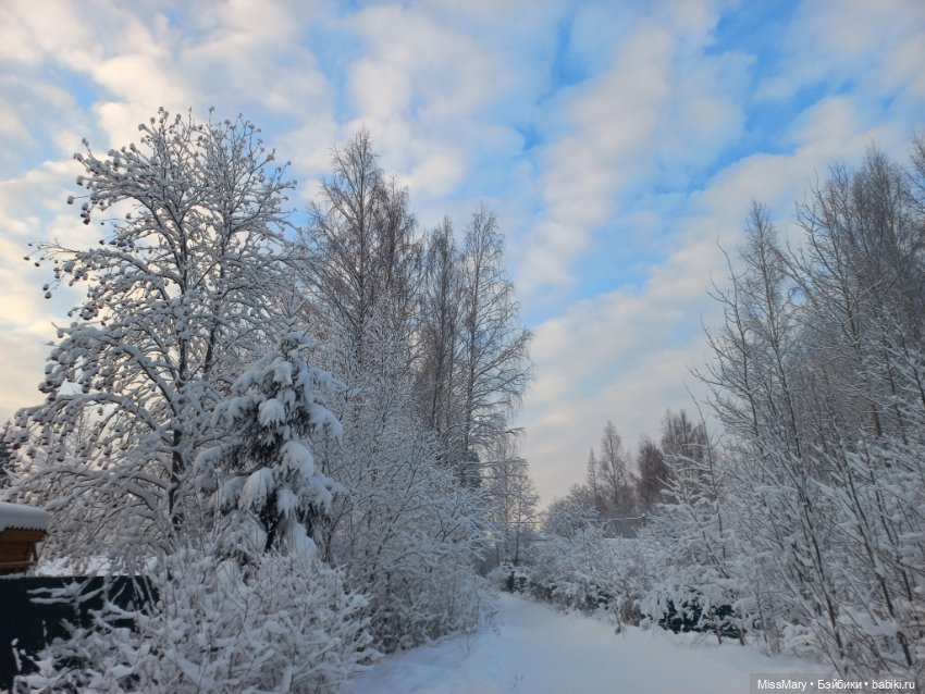 Волшебство на землю опустилось (фото 3)
