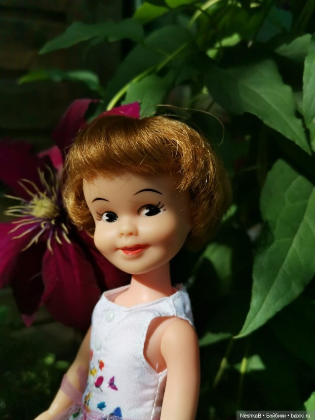 И снова Пенни. И снова лето и цветы...🌼🌼🌼