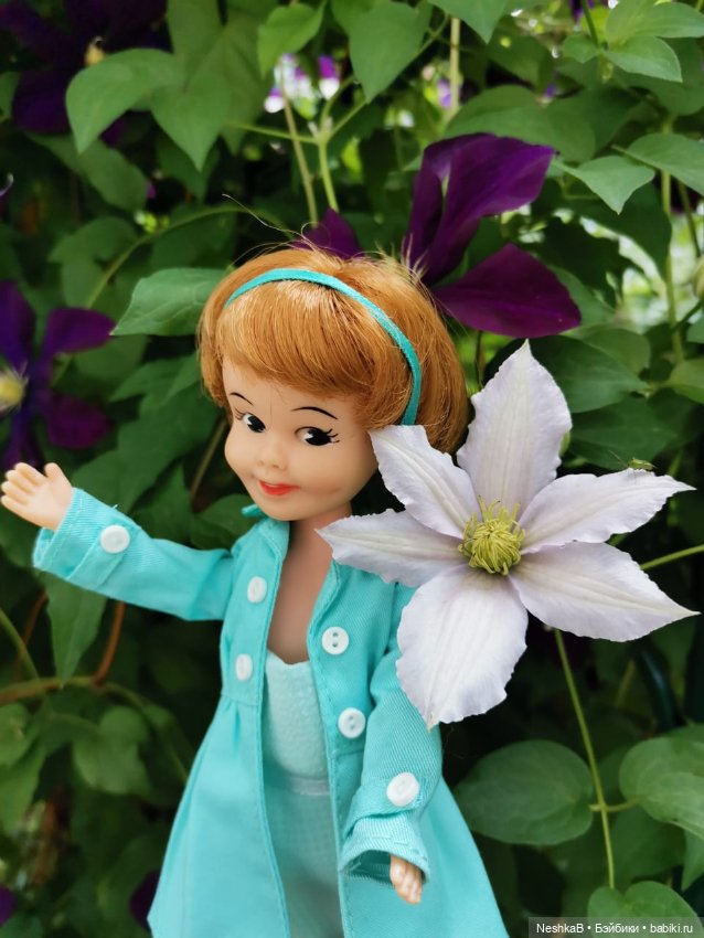 И снова Пенни. И снова лето и цветы...🌼🌼🌼