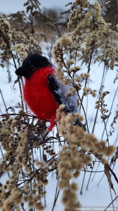 Ещё снегирь... Моя работа (фото 5)