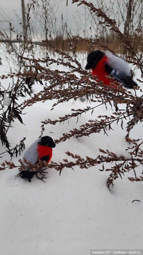 Ещё снегирь... Моя работа (фото 6)