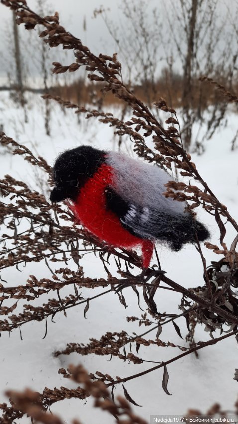 Ещё снегирь... Моя работа (фото 8)