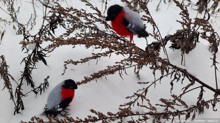 Ещё снегирь... Моя работа (фото 7)