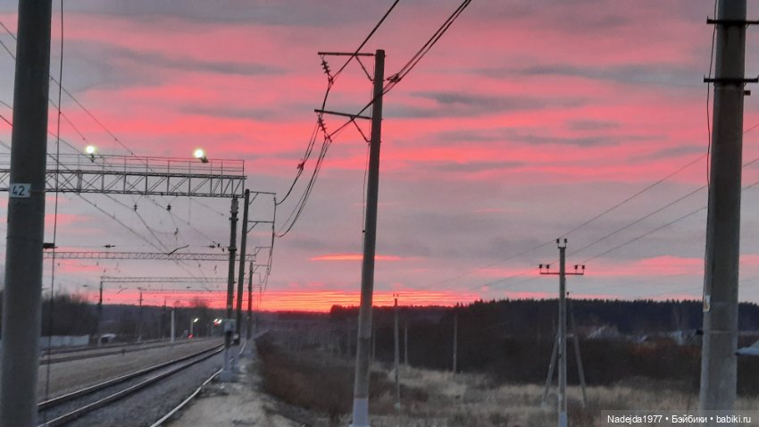 Ещё снегирь... Моя работа