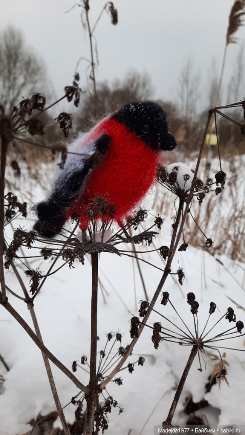 Ещё снегирь... Моя работа (фото 9)