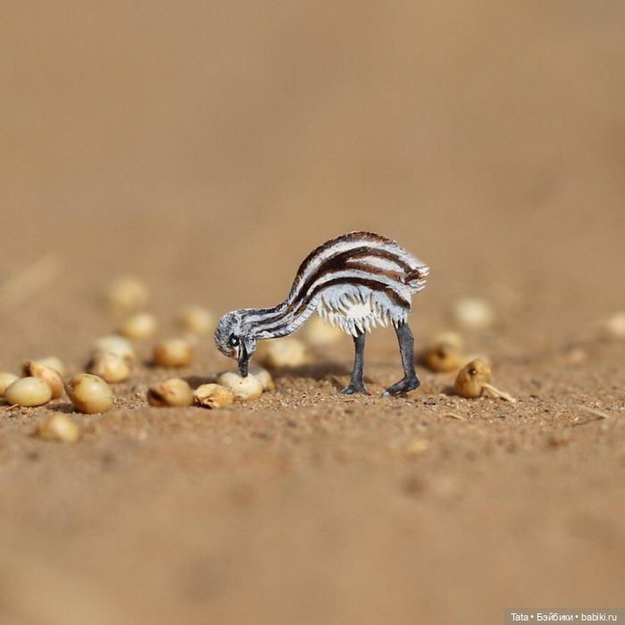 Бумажные птички Vaishali, Индия