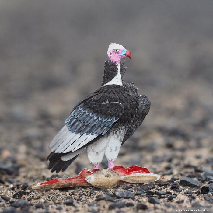 Бумажные птички Vaishali, Индия