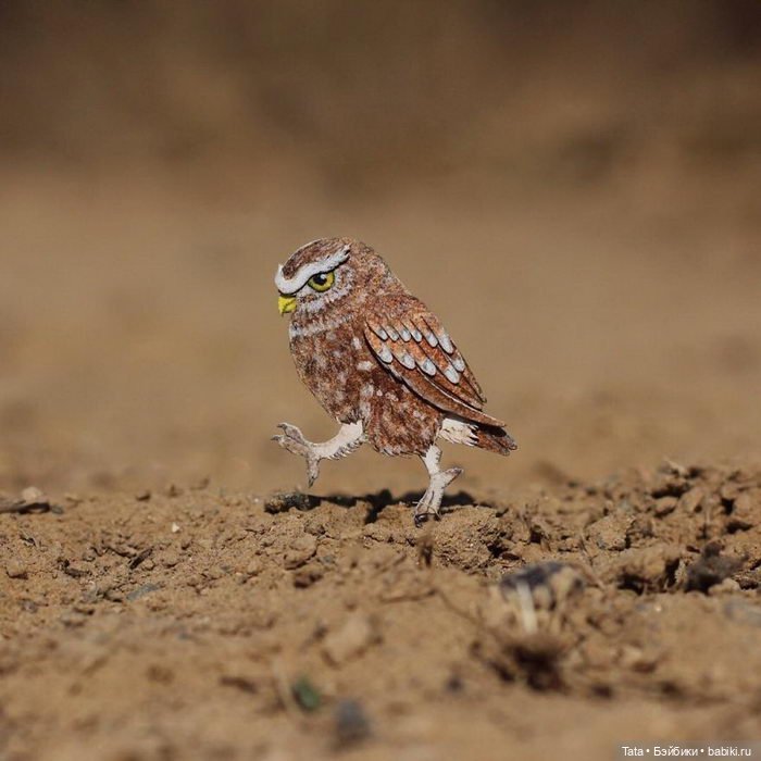 Бумажные птички Vaishali, Индия (фото 2)