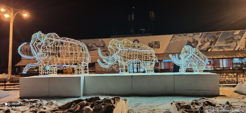 Новогодняя сказка. Заполярье (фото 10)