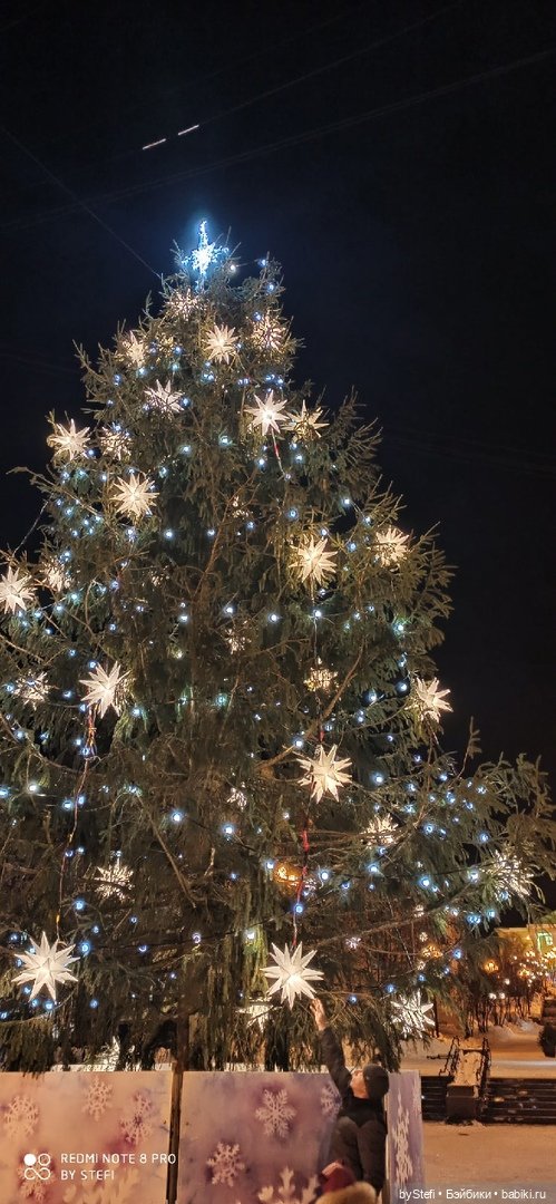 Новогодняя сказка. Заполярье (фото 5)