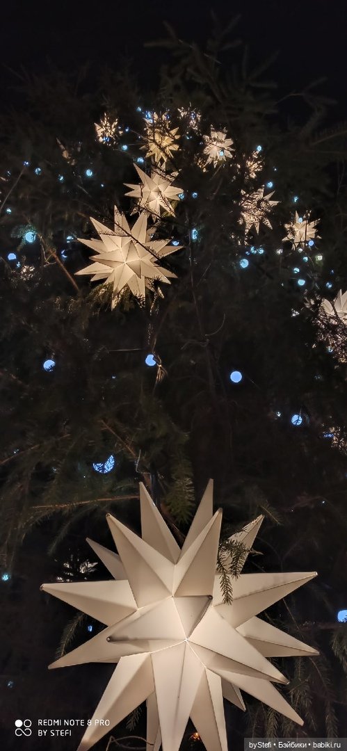 Новогодняя сказка. Заполярье (фото 4)