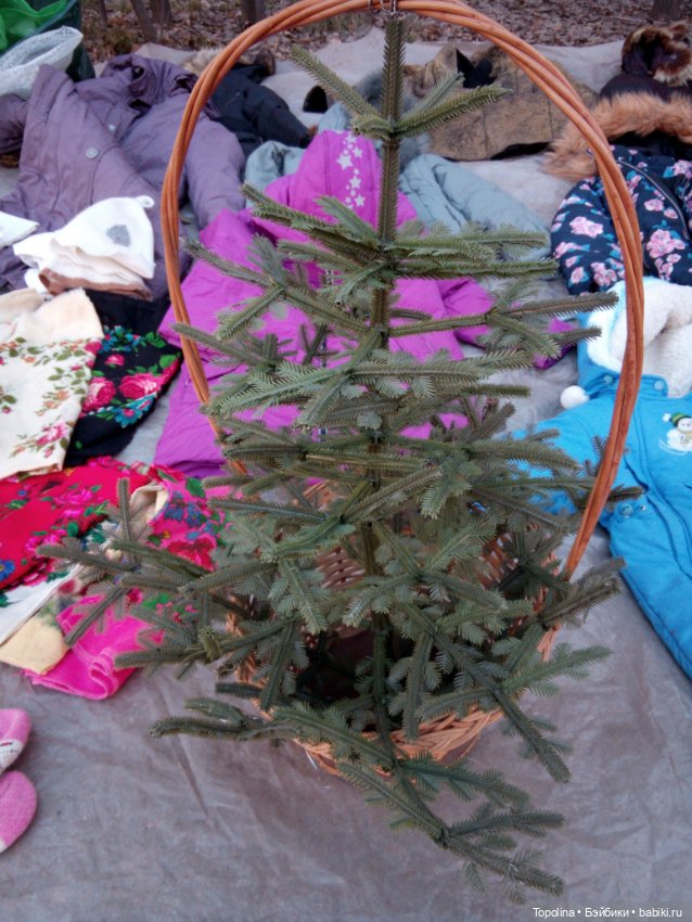 Блошка. Сегодня — Болталка и разговоры обо всем: жизнь