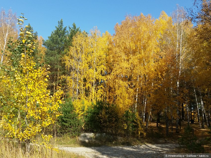 Мои куклы. Милочка и Лана