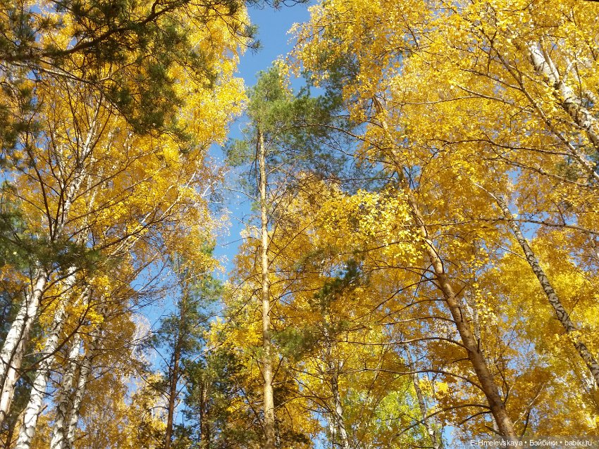 Мои куклы. Милочка и Лана