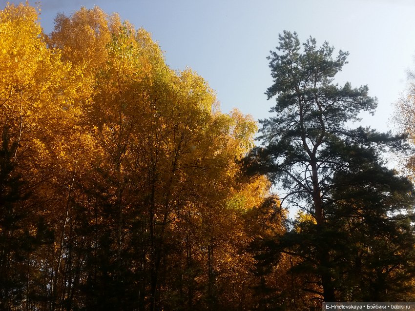 Мои куклы. Милочка и Лана