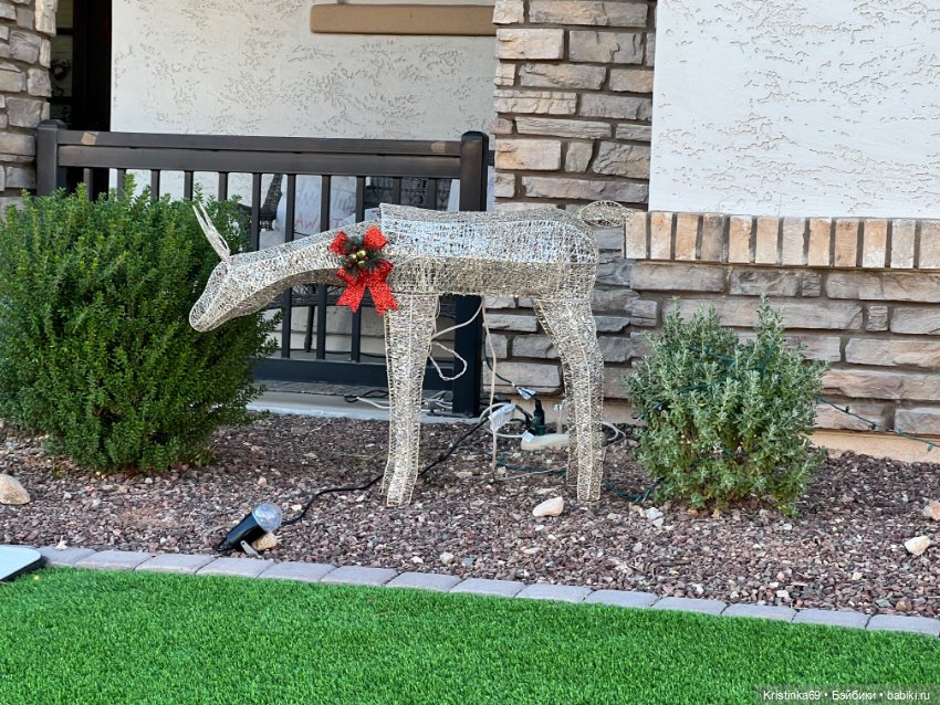 Воскресная прогулка. Приключения Сауле, продолжение часть 10