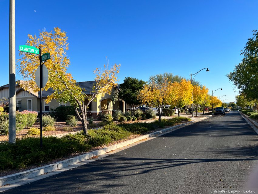 Воскресная прогулка. Приключения Сауле, продолжение часть 10 (фото 3)