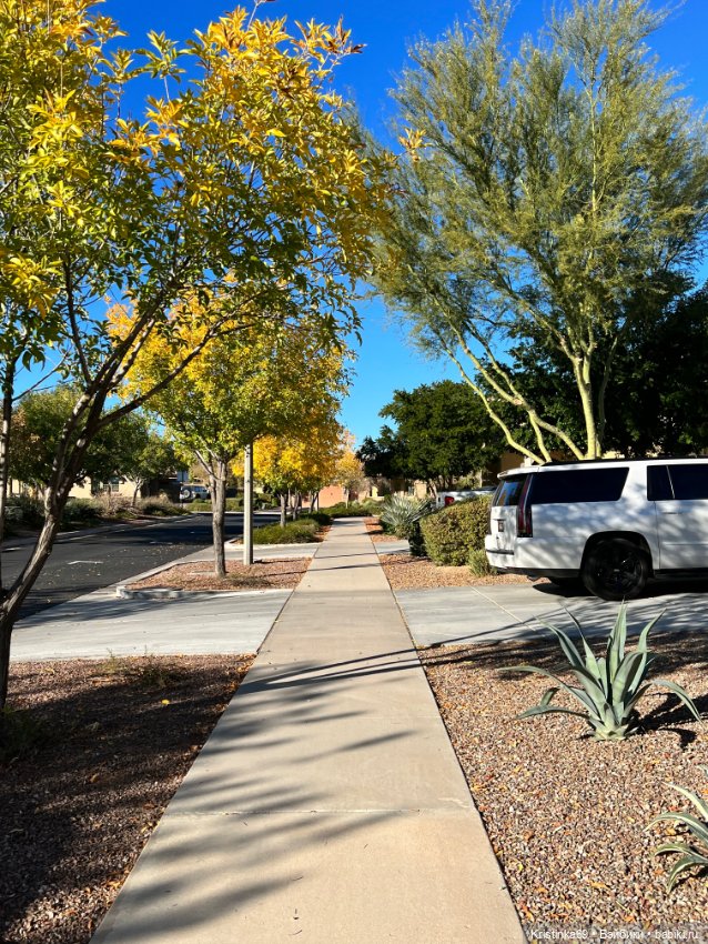 Воскресная прогулка. Приключения Сауле, продолжение часть 10 (фото 2)