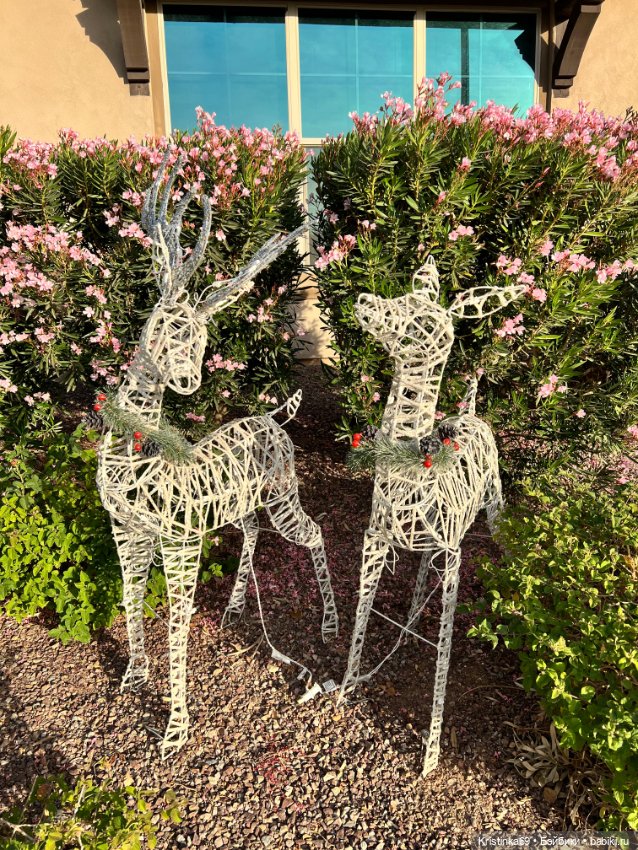 Воскресная прогулка. Приключения Сауле, продолжение часть 10