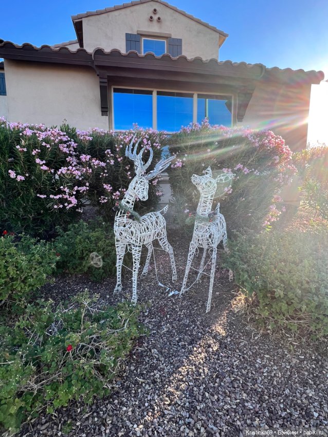 Воскресная прогулка. Приключения Сауле, продолжение часть 10