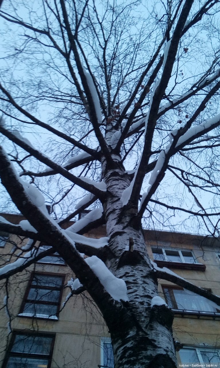 Согреть Пушин — Интересные игрушки и фигурки (разное): редкие (фото 10)