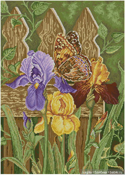 Не много бабочек крестиком