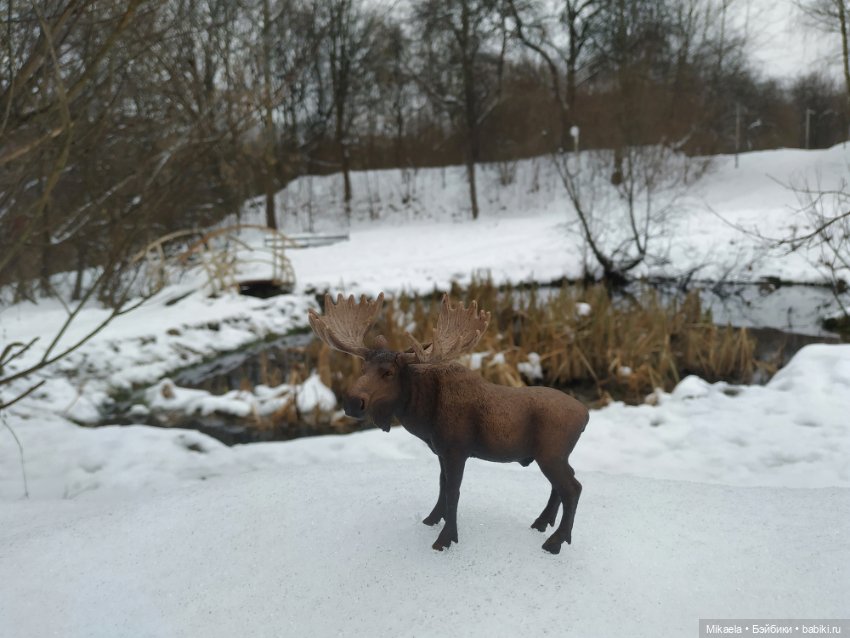 Твои следы — Домашние коллекции кукол: фото собраний (фото 7)