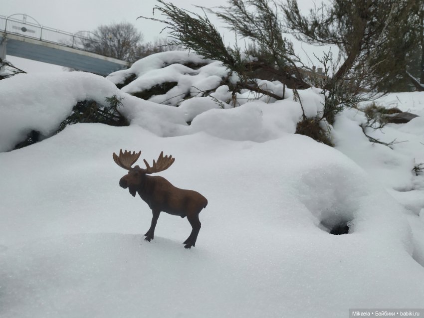 Твои следы — Домашние коллекции кукол: фото собраний (фото 10)