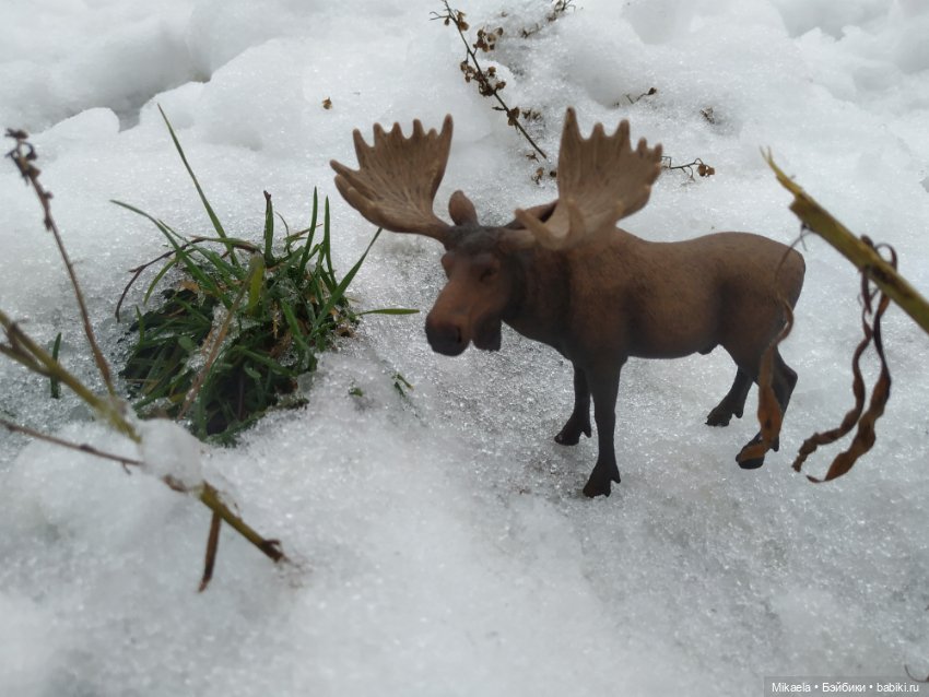 Твои следы — Домашние коллекции кукол: фото собраний (фото 5)
