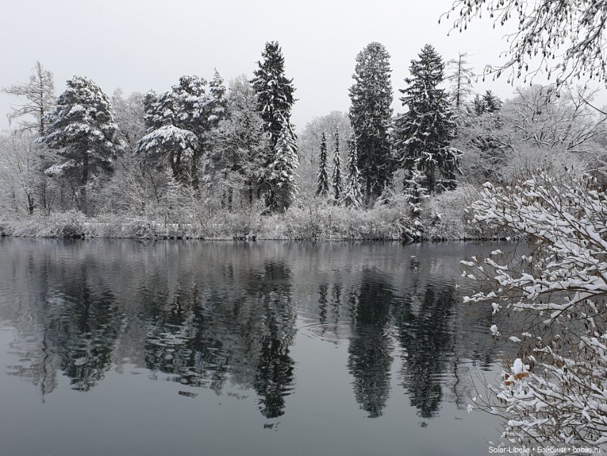 Подарок прилетел — Куклы Ruby Red (Руби Ред) Fashion Friends: Siblies