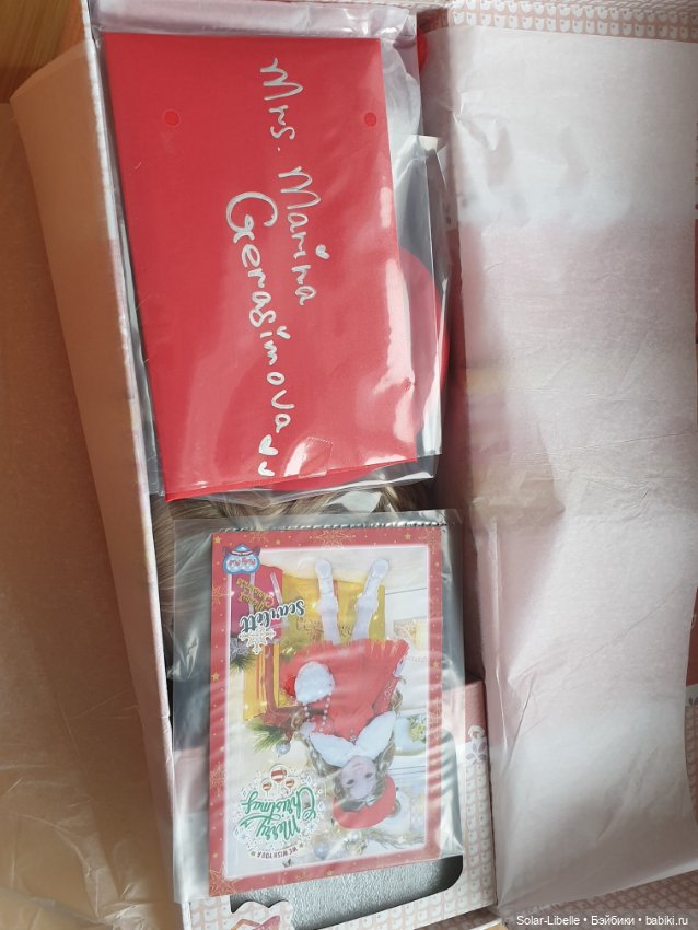 Подарок прилетел — Куклы Ruby Red (Руби Ред) Fashion Friends: Siblies (фото 3)