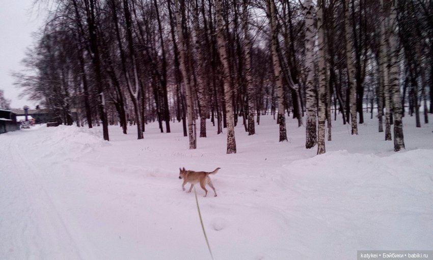 Модный платок (1) — Интересные игрушки и фигурки (разное): редкие (фото 3)