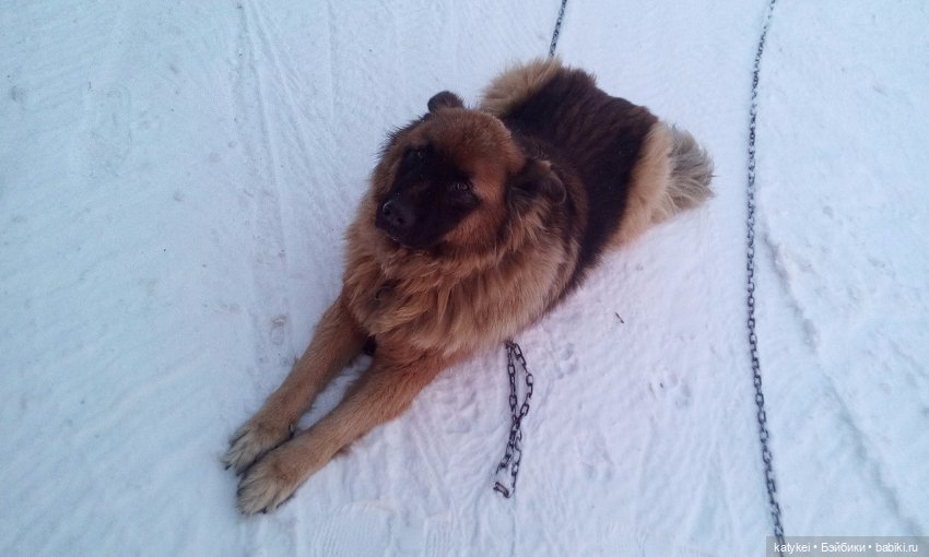 Модный платок (1) — Интересные игрушки и фигурки (разное): редкие