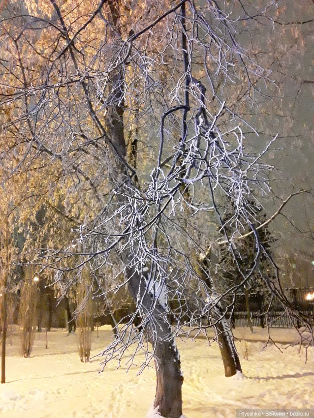 Зима в Подмосковье — Фэшн