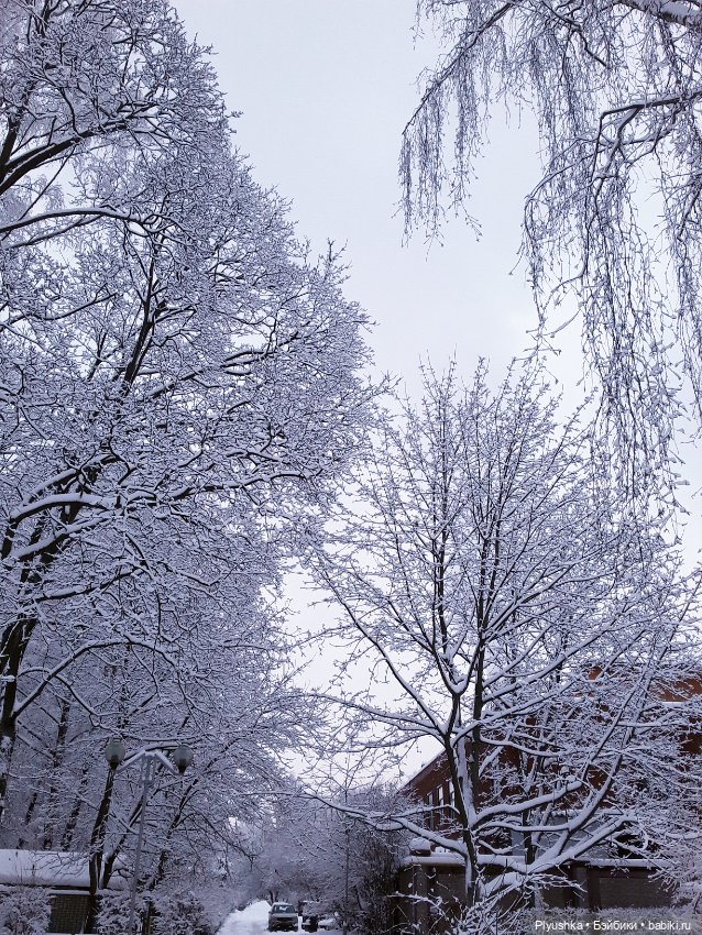 Зима в Подмосковье — Фэшн (фото 3)