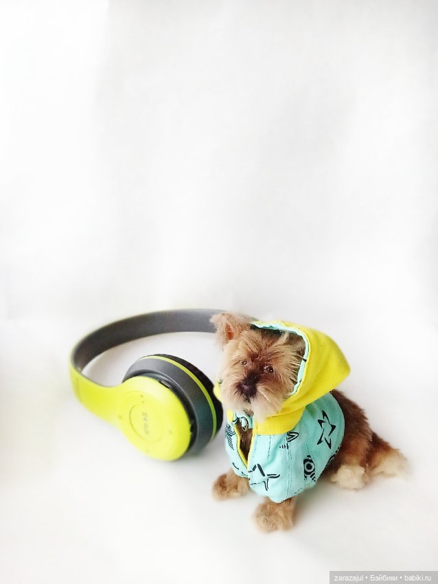 У нас две новости — Куклы Fairyland (ФэйриЛэнд): BJD (БЖД) (фото 3)