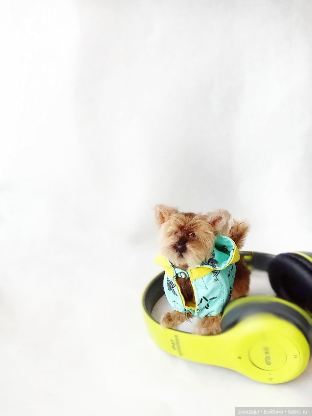 У нас две новости — Куклы Fairyland (ФэйриЛэнд): BJD (БЖД) (фото 4)