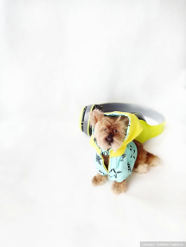 У нас две новости — Куклы Fairyland (ФэйриЛэнд): BJD (БЖД) (фото 5)