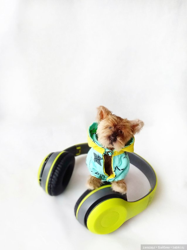 У нас две новости — Куклы Fairyland (ФэйриЛэнд): BJD (БЖД) (фото 6)