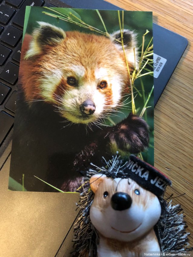 Fashion Dolls 298 — Туризм и путешествия: фотоотчеты из поездок (фото 7)