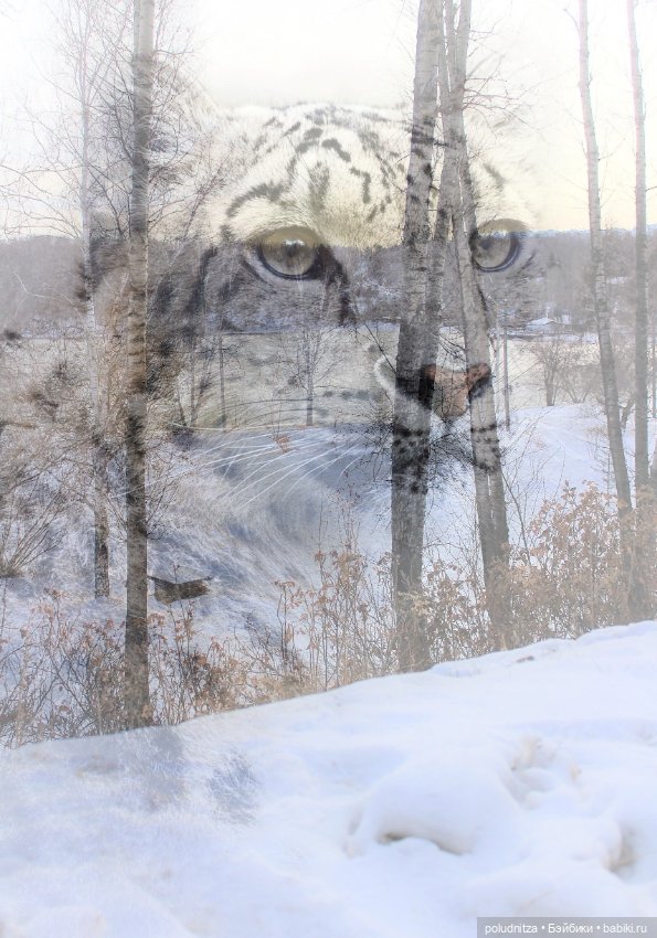 На берегу Ангары — Куклы Iplehouse (Иплхаус): BJD (БЖД) (фото 4)